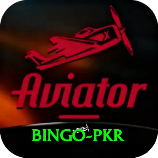 Bingo PKR Pro1 v4.8.9 - 2