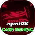 carp fishing Turbo - Daily Bonus