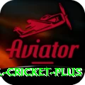 international cricket Official v1.0.6