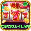 new zealand cricket team Mega Slots
