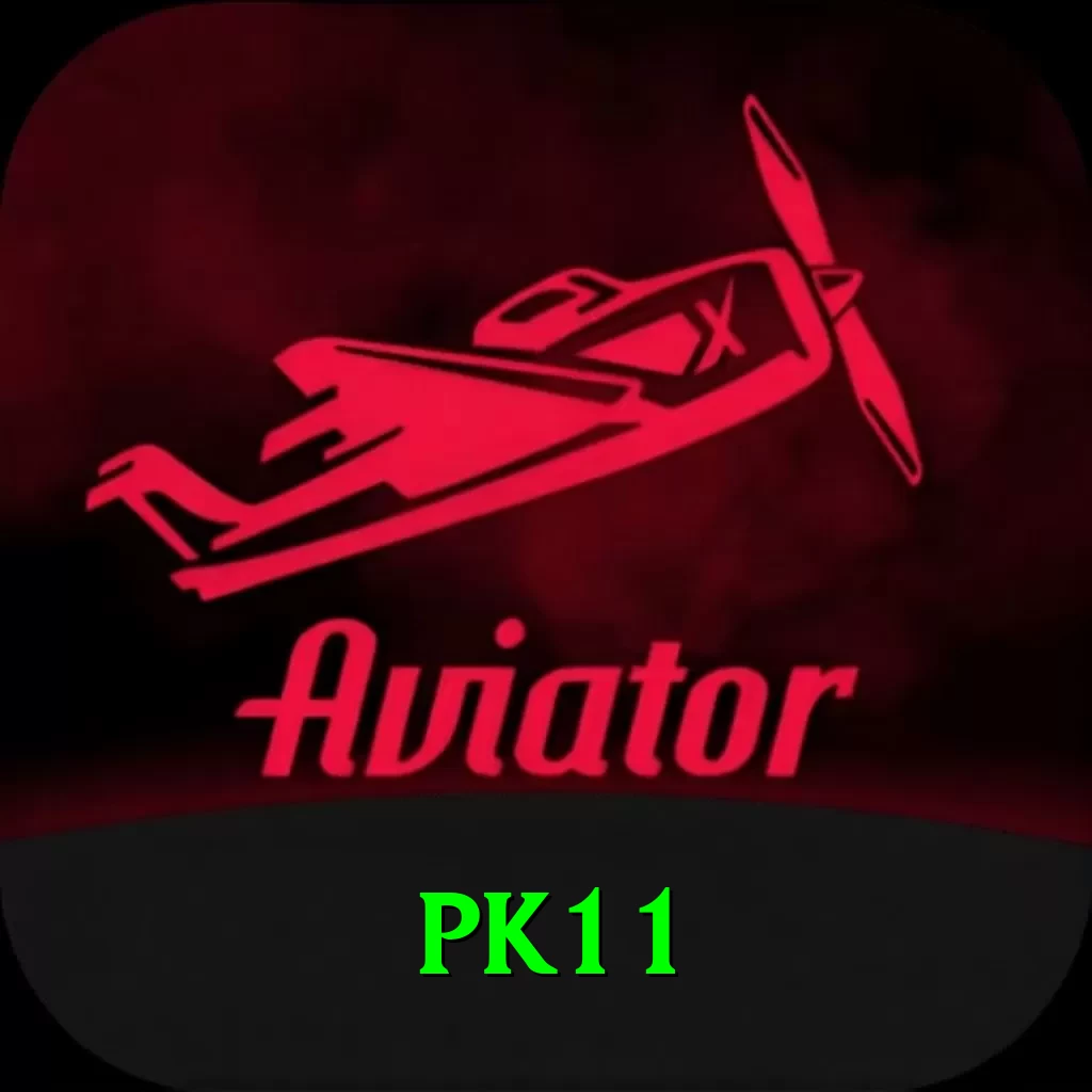pk11 Pro Edition v4.5.3 - 2