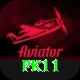 pk11 Pro Edition v4.5.3
