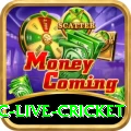 smartcric live cricket Slots Max v5.7.5