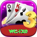 wc t20 Premium - Free Download