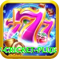 willow cricket Live Casino Deluxe