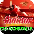 world t20 schedule - Max v4.3.6